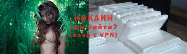 дживик Медвежьегорск