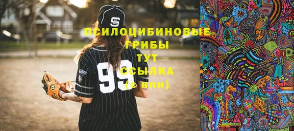 дживик Медвежьегорск