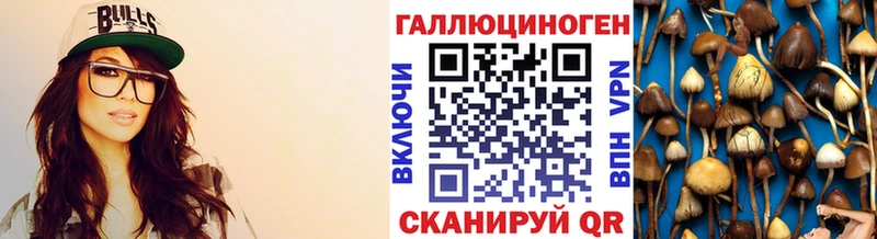 Галлюциногенные грибы прущие грибы  даркнет официальный сайт  Тында  что такое  
