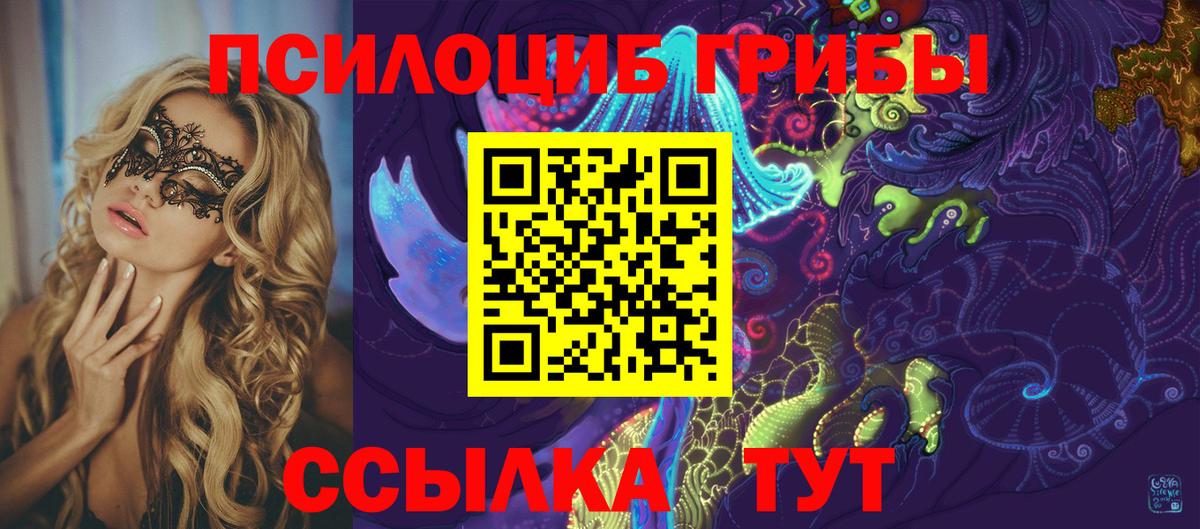 Псилоцибиновые грибы прущие грибы  Тында 