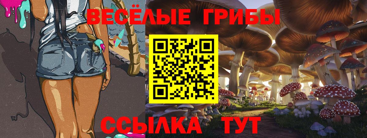 Галлюциногенные грибы мухоморы Тында